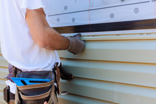 Best Vinyl Siding Installation  in Palmer Lake, CO